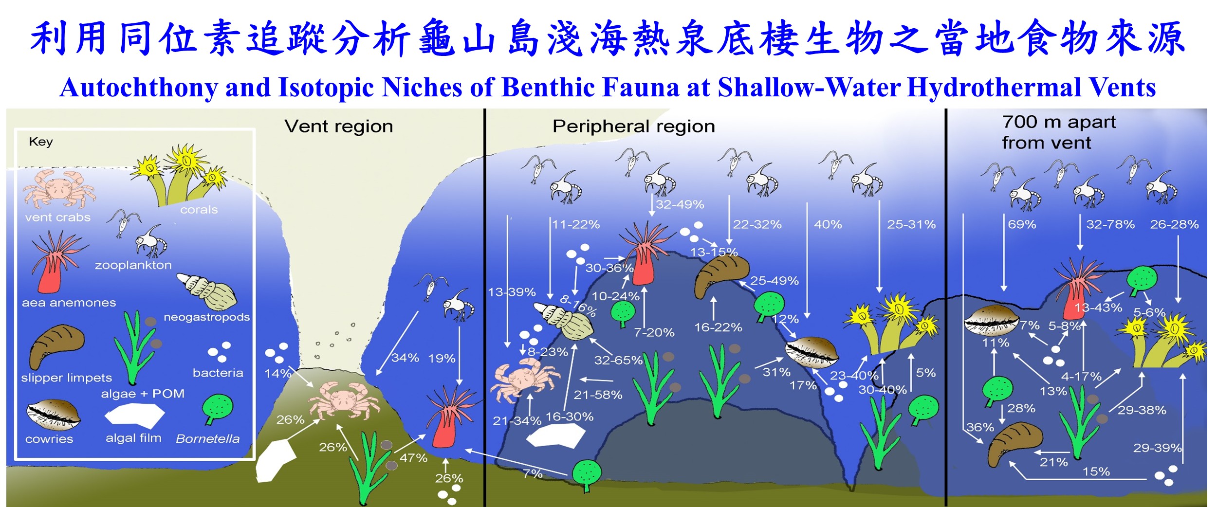 連結到利用同位素追蹤分析龜山島淺海熱泉底棲生物之當地食物來源