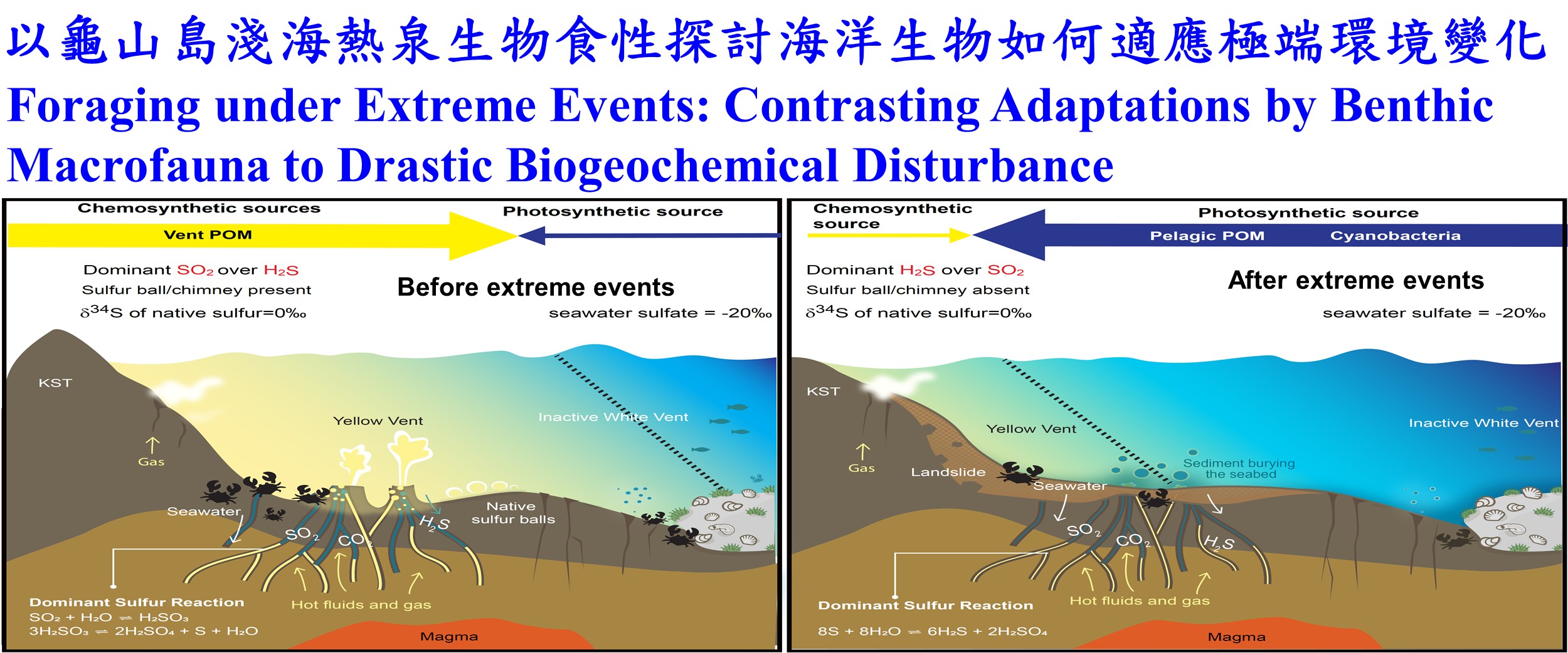 連結到以龜山島淺海熱泉生物食性探討海洋生物如何適應極端環境變化